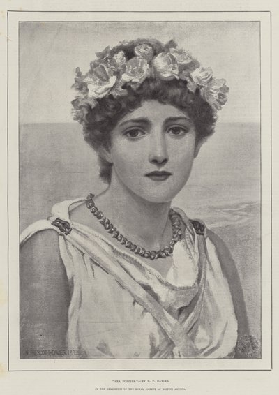 Pavots de mer - Norman Prescott Davies